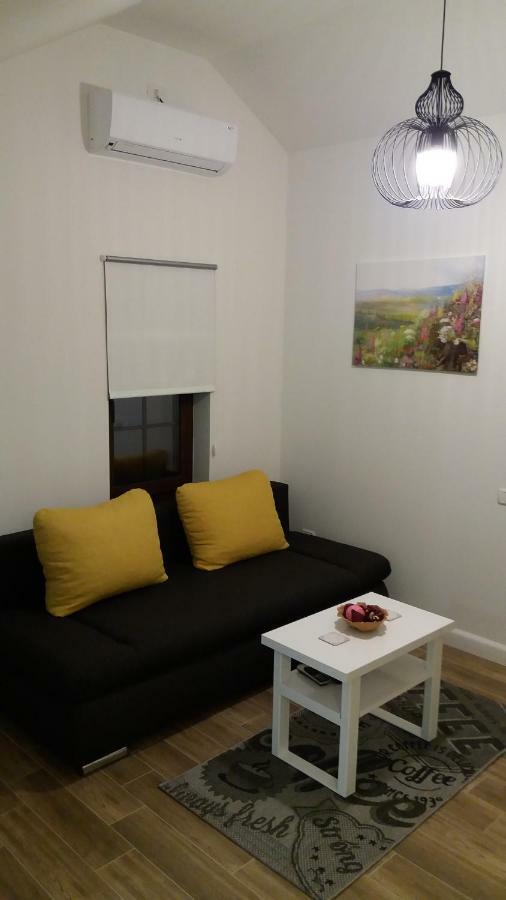 Enjoy Apartment Timişoara Buitenkant foto
